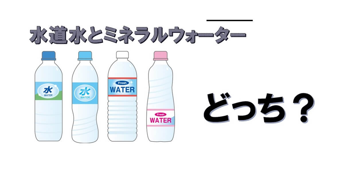 犬の飲み水選び：水道水vsミネラルウォーター、どっち？