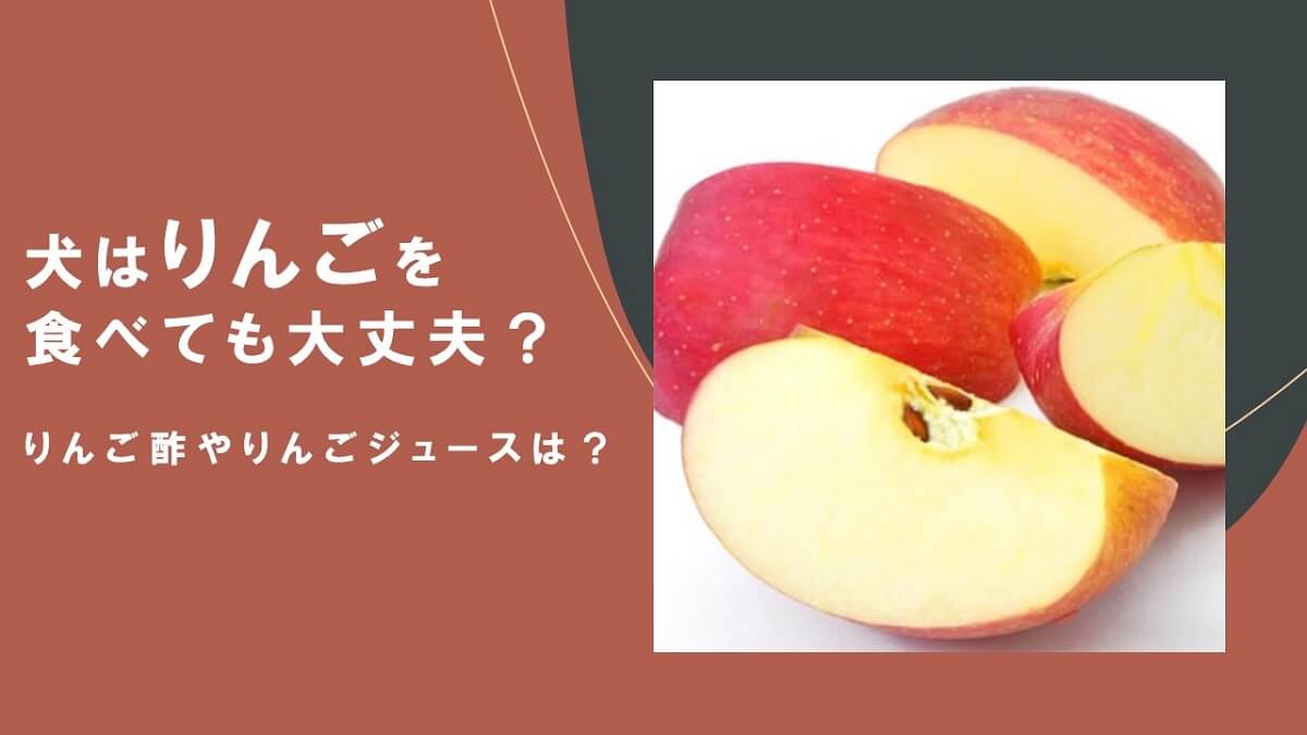 犬はりんごを食べても大丈夫？りんご酢やりんごジュースは？