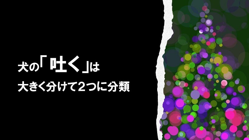 犬の「吐く」は大きく分けて２つに分類