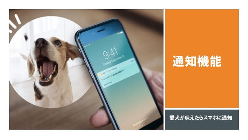 愛犬が吠えたらスマホに通知が来る