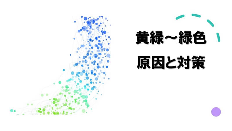 犬が吐いた色が黄緑～緑色の場合の原因と対策