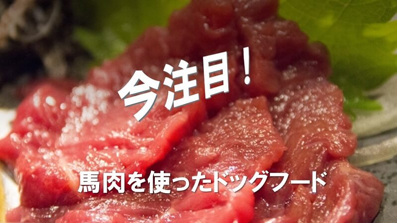 馬肉を使ったドッグフード