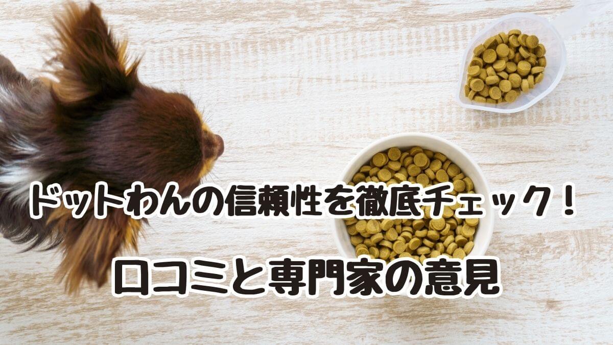 ドットわんの信頼性を徹底チェック！口コミと専門家の意見