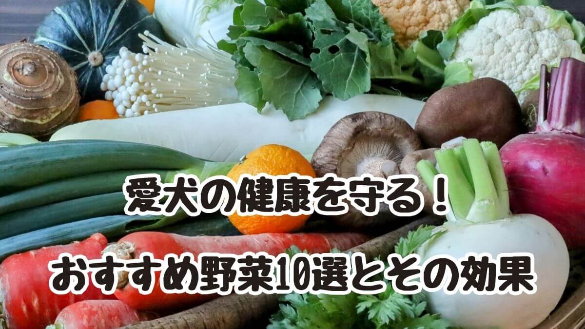 愛犬の健康を守る！おすすめ野菜10選とその効果