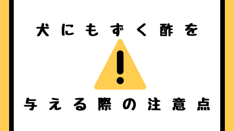 犬にもずく酢を与える際の注意点