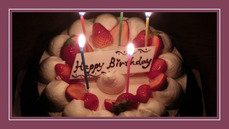 愛犬の誕生日やクリスマスのケーキ無添加おすすめ5選