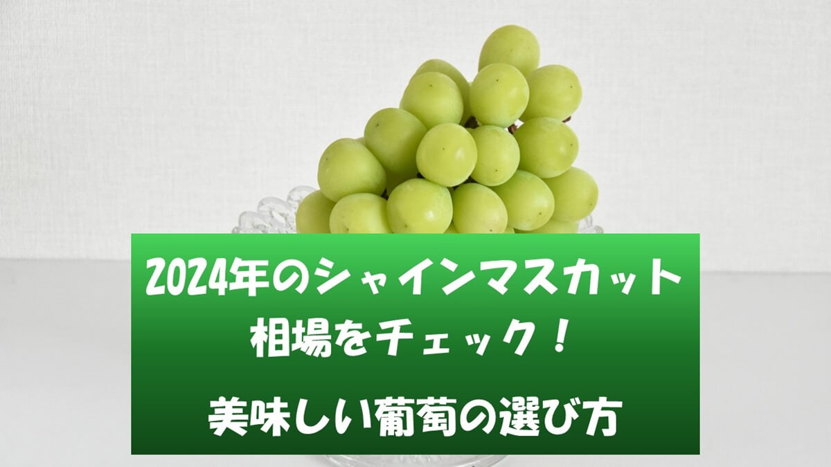 2024年のシャインマスカット相場をチェック！美味しい葡萄の選び方