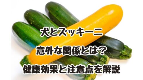 犬とズッキーニの意外な関係とは？健康効果と注意点を解説