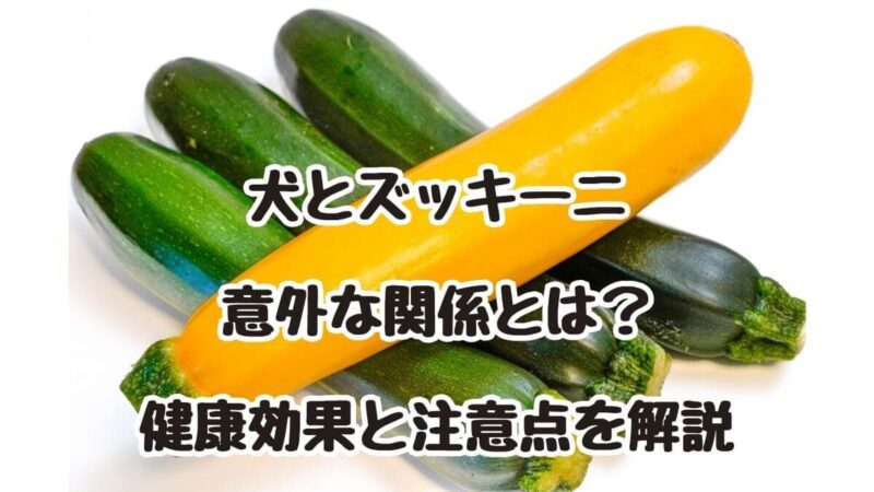 犬とズッキーニの意外な関係とは？健康効果と注意点を解説