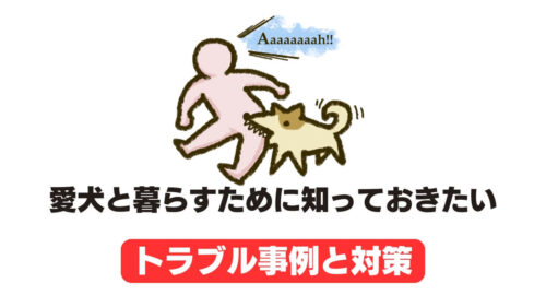 愛犬と暮らすために知っておきたいトラブル事例と対策
