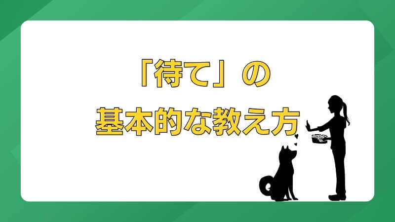 「待て」の基本的な教え方