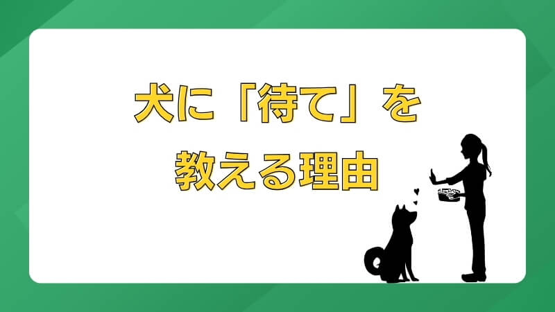 犬に「待て」を教える理由