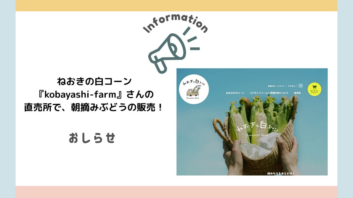 ぶどう販売を押部谷町西盛で開始致します！8月15日（金）～
