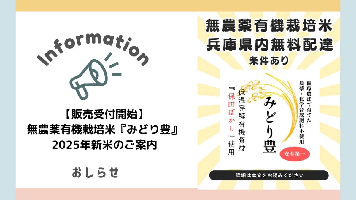 【販売受付開始】無農薬有機栽培米『みどり豊』2025年新米のご案内
